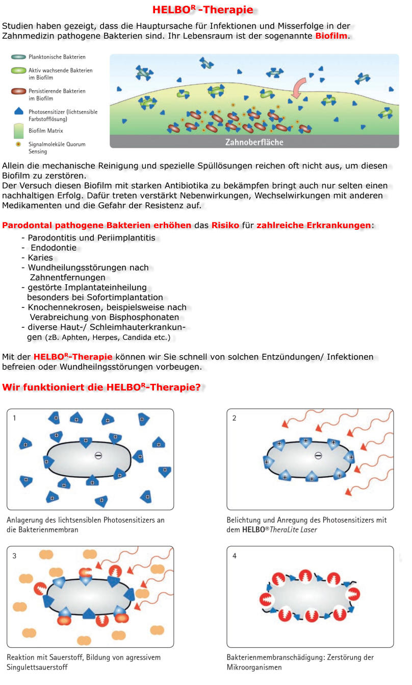 HELBOR -Therapie Studien haben gezeigt, dass die Hauptursache für Infektionen und Misserfolge in der Zahnmedizin pathogene Bakterien sind. Ihr Lebensraum ist der sogenannte Biofilm.          Allein die mechanische Reinigung und spezielle Spüllösungen reichen oft nicht aus, um diesen Biofilm zu zerstören. Der Versuch diesen Biofilm mit starken Antibiotika zu bekämpfen bringt auch nur selten einen nachhaltigen Erfolg. Dafür treten verstärkt Nebenwirkungen, Wechselwirkungen mit anderen Medikamenten und die Gefahr der Resistenz auf.  Parodontal pathogene Bakterien erhöhen das Risiko für zahlreiche Erkrankungen: - Parodontitis und Periimplantitis -  Endodontie - Karies - Wundheilungsstörungen nach       Zahnentfernungen - gestörte Implantateinheilung   besonders bei Sofortimplantation - Knochennekrosen, beispielsweise nach    Verabreichung von Bisphosphonaten - diverse Haut-/ Schleimhauterkrankun-  gen (zB. Aphten, Herpes, Candida etc.)  Mit der HELBOR-Therapie können wir Sie schnell von solchen Entzündungen/ Infektionen befreien oder Wundheilngsstörungen vorbeugen.  Wir funktioniert die HELBOR-Therapie?              Bei der HELBOR-Therapie werden die Bakterienwände durch einen lichtsensiblen Farbstoff markiert, der aus einem Photosensitizer in den Biofilm diffundiert. Durch die anschließende Aktivierung der Farbstoffmoleküle mit einem speziellem Laser wird die Energie auf den lokalen Sauerstoff übertragen. So entsteht hochaggressiver Singulettsauerstoff,   welcher mehr als 99% der Bakterien im Biofilm zerstört. Eine mit klassischen Behandlungsmethoden unvorstellbare Wirksamkeit.